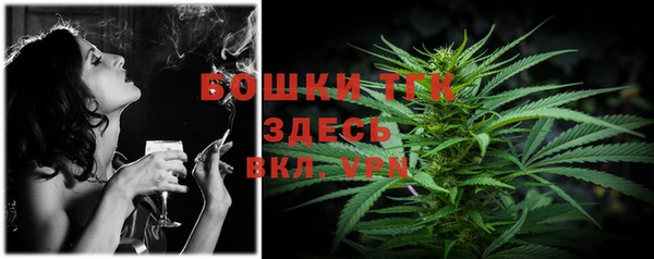 ешки Алексин