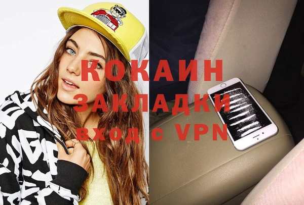 ешки Алексин