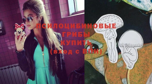 ешки Алексин