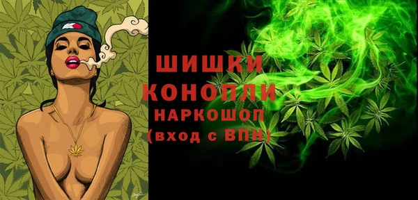 ешки Алексин