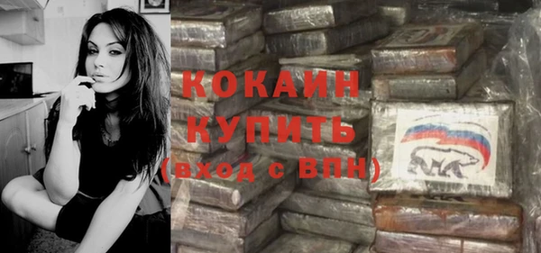 ешки Алексин